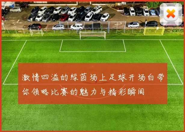 激情四溢的绿茵场上足球开场白带你领略比赛的魅力与精彩瞬间